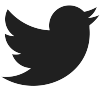 Twitter Logo